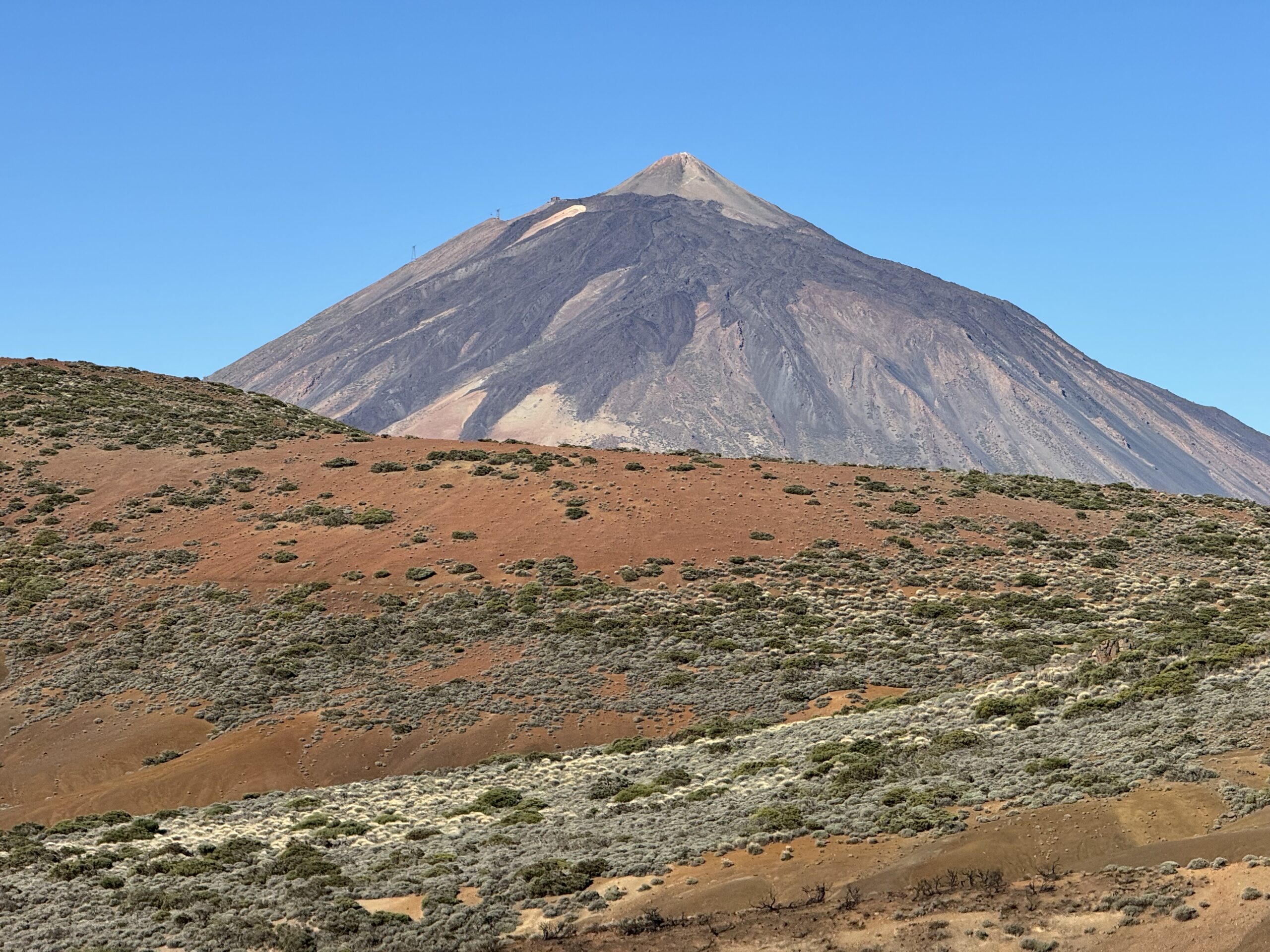 Tiede 12
