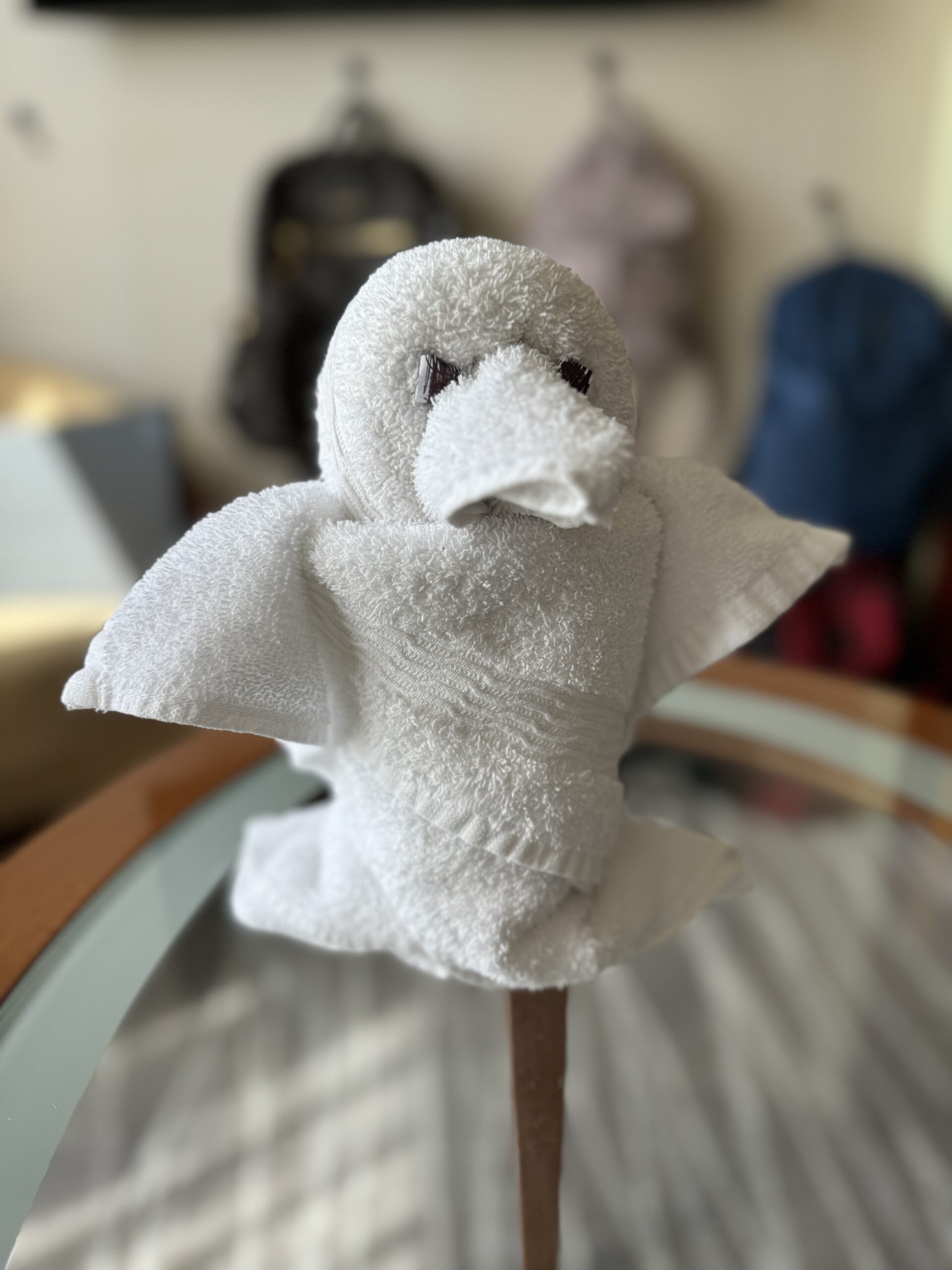 Towel 4