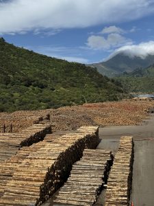 Timber ready for export at the Picton port too.