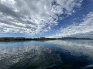 The Otago Bay was very calm starting out!