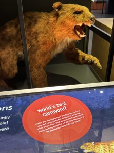 Though extinct, he's still scary!