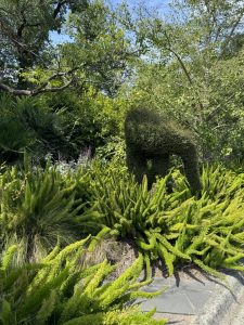 The beginning of the famous "fern gully".