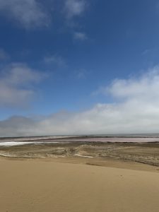 Salt settling lakes, pink due to the algae.