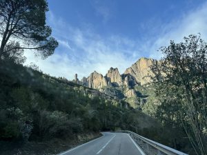 On our drive up.