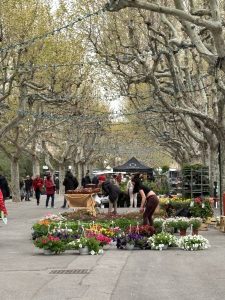 A very nice promenade for a very nice farmers market.