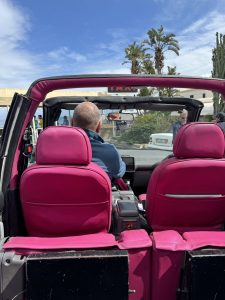 Our cab up had a pink interior which only improved the experience!